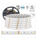 TAŚMA 60LED 12V/DC 2835 /5mb/ 6500K 6W/mb IP67 CRI90+