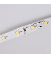 TAŚMA 60LED 12V/DC 2835 /5mb/ 4000K 12W/mb IP20 CRI90+ 3 lat