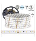 TAŚMA 60LED 12V/DC 2835 /5mb/ 6500K 6W/mb IP67 CRI90+ 