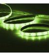 TAŚMA 60LED 3528 5mb 12V silik. zielona 4,8W/1mb 5mb ROLKA