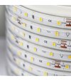 TAŚMA ROL.60LED 24V/DC 2835 IP67 6500K 6W/mb CRI90+/20MB 