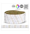 TAŚMA ROL. COB RGBW NEUTRALNA 896LED/mb 16W/mb 24V/DC IP20
