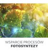 Żarówka do roślin LED PLANTY B 9W E27 1200K czarna