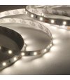 TAŚMA 60LED 12V/DC 2835 /5mb/ 4000K 12W/mb IP20 CRI90+ 3 lat