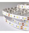 TAŚMA 60LED 12V/DC 2835 /5mb/ 4000K 12W/mb IP20 CRI90+ 3 lat