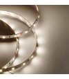 TAŚMA 60LED 12V/DC 2835 /5mb/ 4000K 12W/mb IP20 CRI90+ 3 lat