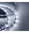 TAŚMA 60LED 12V/DC 2835 /5mb/ 6500K 6W/mb IP67 CRI90+ 