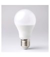 ŻARÓWKA E-27 15W 6500K 1500lm EC