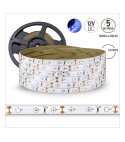 TAŚMA 60LED 3528 5mb 12V silik. niebieski 4,8W 5mb rolka