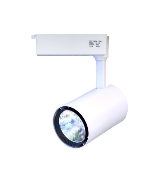 LAMPA BIAŁA 30W LED 4000K SYSTEM JEDNOOBWODOWY