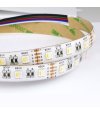 TAŚMA 60LED 5050 RGBW 5mb CIEPŁA BIAŁA 12V SILIK. 20LM 3 lat
