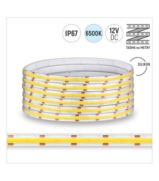 TAŚMA ROL. COB 320LED/MB IP67 6000K 8W/mb 12V/DC ROL.30M