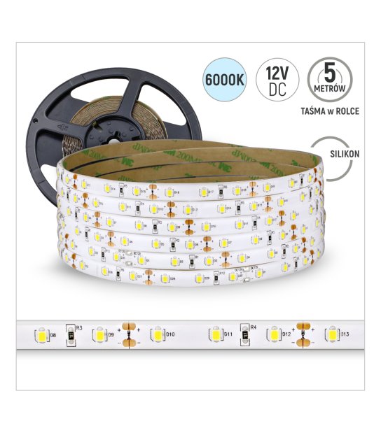 TAŚMA 60LED 12V/DC 2835 /5mb/ 6500K 12W/mb SILIKON 3-LATA GW