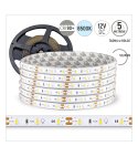 TAŚMA 60LED 12V/DC 2835 /5mb/ 6500K 12W/mb IP67 CRI90+