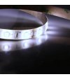 TAŚMA 60LED 12V/DC 2835 /5mb/ 6500K 12W/mb SILIKON 3-LATA GW
