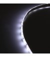TAŚMA 60LED 12V/DC 2835 /5mb/ 6500K 12W/mb SILIKON 3-LATA GW
