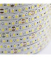 TAŚMA 120LED 24V 2835 10-12LM 5mb. wew. zimna biała 12W/1M