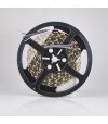 TAŚMA 60LED 5050 RGBW 5mb NEUTRALNA 12V WEW. 20LM 3 lata gw.