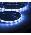 TAŚMA 60LED 3528 5mb 12V silik. niebieski 4,8W 5mb rolka