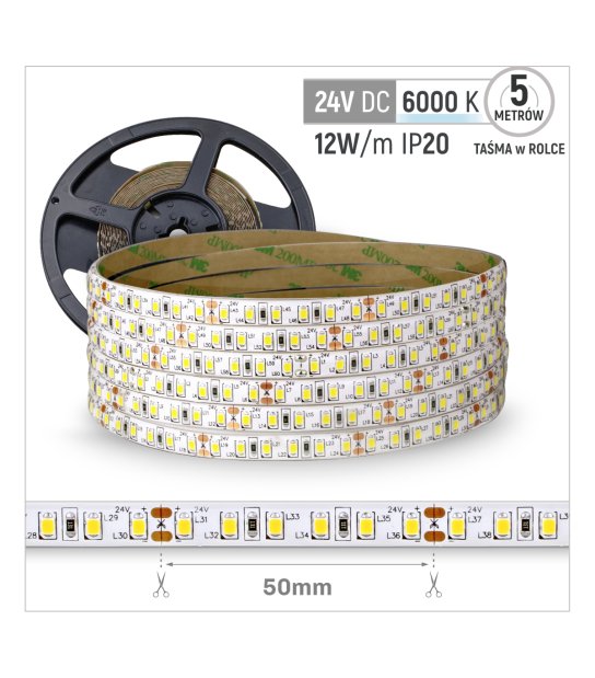 TAŚMA 120LED 24V 2835 10-12LM 5mb. wew. zimna biała 12W/1M
