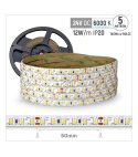 TAŚMA 120LED 24V 2835 10-12LM 5mb. wew. zimna biała 12W/1M