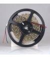 TAŚMA 60LED 12V/DC 2835 /5mb/ 3000K 6W/mb IP67 CRI90+ 