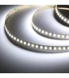 TAŚMA ROL.120LED 12V/DC 2835 IP20 6000K 12W/mb 10-12LM CRI90