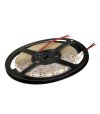TAŚMA 120LED 2835 10-12lm 5mb. silik. zimna 12W/mb 12V 3lata