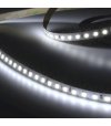 TAŚMA 120LED 24V 2835 10-12LM 5mb. wew. zimna biała 12W/1M