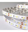 TAŚMA ROL.60LED 12V/DC 2835 IP20 3000K 12W/mb 20-22LM
